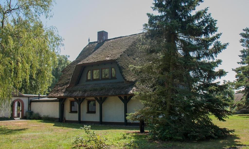 Haus Schilfkante - Wohnung 2 Wieck Buitenkant foto